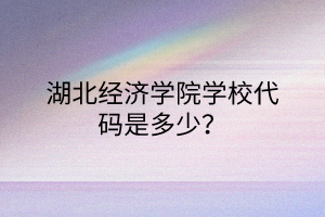 湖北經(jīng)濟(jì)學(xué)院學(xué)校代碼是多少？