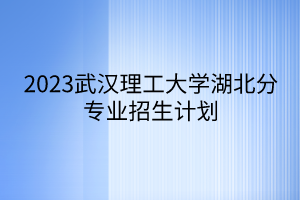 2023武漢理工大學(xué)湖北分專業(yè)招生計劃