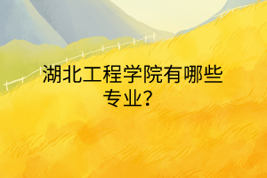 湖北工程學(xué)院有哪些專業(yè)？