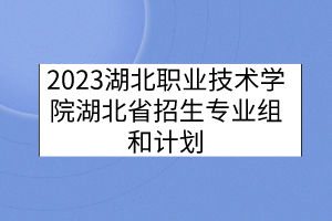 2023湖北職業(yè)技術學院湖北省招生專業(yè)組和計劃
