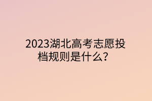 2023湖北高考志愿投檔規(guī)則是什么? 2023湖北高考志愿投檔規(guī)則是什么?