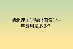 湖北理工學院出國留學一年費用是多少？