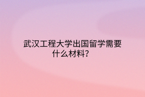 武漢工程大學出國留學需要什么材料？