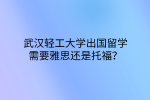 武漢輕工大學(xué)出國留學(xué)需要雅思還是托福？
