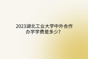 2023湖北工業(yè)大學(xué)中外合作辦學(xué)學(xué)費是多少? 2023湖北工業(yè)大學(xué)中外合作辦學(xué)學(xué)費是多少?