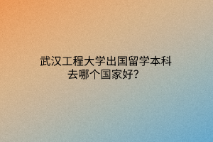 武漢工程大學(xué)出國留學(xué)本科去哪個國家好？
