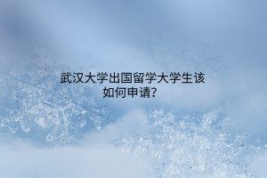 武漢大學(xué)出國留學(xué)大學(xué)生該如何申請？