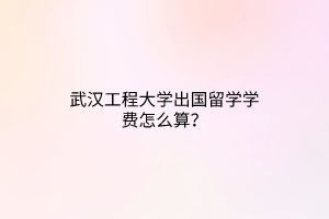 武漢工程大學(xué)出國留學(xué)學(xué)費(fèi)怎么算? 武漢工程大學(xué)出國留學(xué)學(xué)費(fèi)怎么算?
