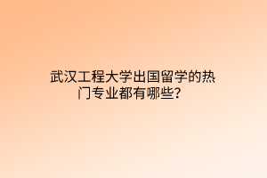武漢工程大學(xué)出國留學(xué)的熱門專業(yè)都有哪些？