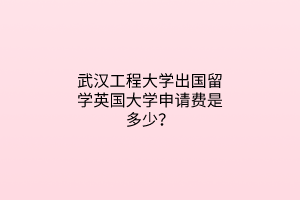 武漢工程大學(xué)出國(guó)留學(xué)英國(guó)大學(xué)申請(qǐng)費(fèi)是多少? 武漢工程大學(xué)出國(guó)留學(xué)英國(guó)大學(xué)申請(qǐng)費(fèi)是多少?