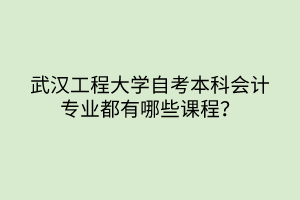 武漢工程大學(xué)自考本科會(huì)計(jì)專業(yè)都有哪些課程？