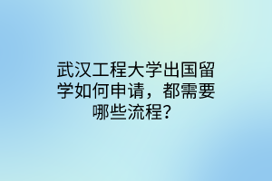 武漢工程大學出國留學如何申請，都需要哪些流程？