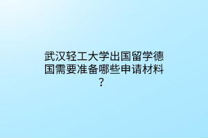 武漢輕工大學(xué)出國(guó)留學(xué)德國(guó)需要準(zhǔn)備哪些申請(qǐng)材料？