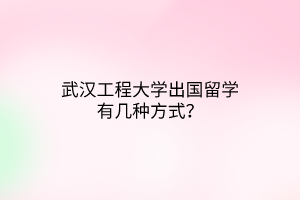 武漢工程大學出國留學有幾種方式? 武漢工程大學出國留學有幾種方式?