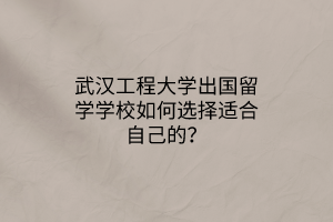 武漢工程大學(xué)出國留學(xué)學(xué)校如何選擇適合自己的? 武漢工程大學(xué)出國留學(xué)學(xué)校如何選擇適合自己的?