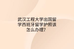 武漢工程大學(xué)出國留學(xué)西班牙留學(xué)護照該怎么辦理? 武漢工程大學(xué)出國留學(xué)西班牙留學(xué)護照該怎么辦理?