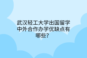 武漢輕工大學出國留學中外合作辦學優(yōu)缺點有哪些？