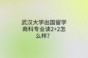 武漢大學(xué)出國留學(xué)商科專業(yè)讀2+2怎么樣? 武漢大學(xué)出國留學(xué)商科專業(yè)讀2+2怎么樣?