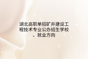湖北高職單招礦井建設工程技術專業(yè)公辦招生學校、就業(yè)方向 湖北高職單招礦井建設工程技術專業(yè)公辦招生學校、就業(yè)方向