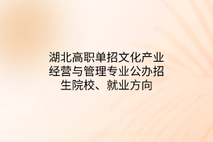 湖北高職單招文化產(chǎn)業(yè)經(jīng)營(yíng)與管理專業(yè)公辦招生院校、就業(yè)方向