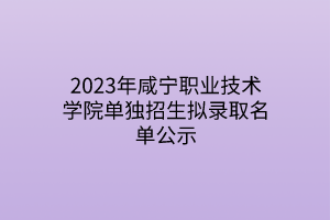 2023年咸寧職業(yè)技術(shù)學(xué)院?jiǎn)为?dú)招生擬錄取名單公示