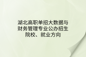 湖北高職單招大數(shù)據(jù)與財(cái)務(wù)管理專業(yè)公辦招生院校、就業(yè)方向 湖北高職單招大數(shù)據(jù)與財(cái)務(wù)管理專業(yè)公辦招生院校、就業(yè)方向