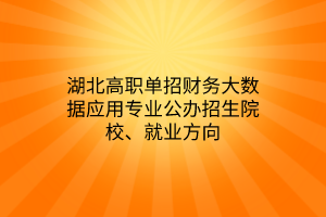 湖北高職單招財務(wù)大數(shù)據(jù)應(yīng)用專業(yè)公辦招生院校、就業(yè)方向 湖北高職單招財務(wù)大數(shù)據(jù)應(yīng)用專業(yè)公辦招生院校、就業(yè)方向