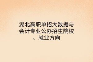 湖北高職單招大數(shù)據(jù)與會計專業(yè)公辦招生院校、就業(yè)方向 湖北高職單招大數(shù)據(jù)與會計專業(yè)公辦招生院校、就業(yè)方向