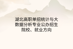 湖北高職單招統(tǒng)計(jì)與大數(shù)據(jù)分析專業(yè)公辦招生院校、就業(yè)方向