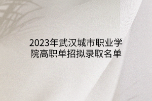 2023年武漢城市職業(yè)學(xué)院高職單招擬錄取名單 2023年武漢城市職業(yè)學(xué)院高職單招擬錄取名單