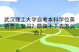 武漢理工大學自考本科學位英語怎么復習？題做不下去怎么辦？