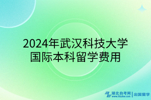 2024年武漢科技大學(xué)國際本科留學(xué)費(fèi)用