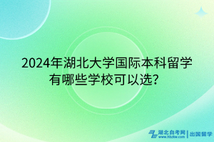 2024年湖北大學(xué)國(guó)際本科留學(xué)有哪些學(xué)校可以選？