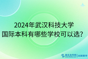 2024年武漢科技大學國際本科有哪些學校可以選？