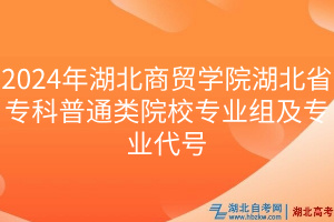 2024年湖北商貿(mào)學(xué)院湖北省專科普通類院校專業(yè)組及專業(yè)代號(hào)