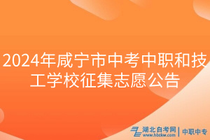 2024年咸寧市中考中職和技工學(xué)校征集志愿公告 2024年咸寧市中考中職和技工學(xué)校征集志愿公告