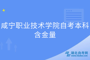 咸寧職業(yè)技術(shù)學(xué)院自考本科含金量 咸寧職業(yè)技術(shù)學(xué)院自考本科含金量