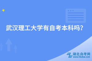 武漢理工大學有自考本科嗎？