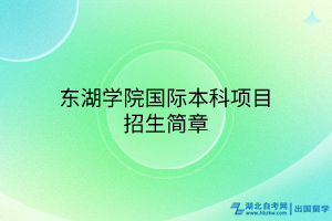 東湖學(xué)院國際本科項(xiàng)目招生簡章 東湖學(xué)院國際本科項(xiàng)目招生簡章