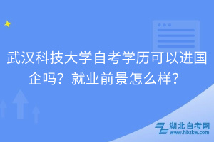 武漢科技大學(xué)自考學(xué)歷可以進國企嗎？就業(yè)前景怎么樣？