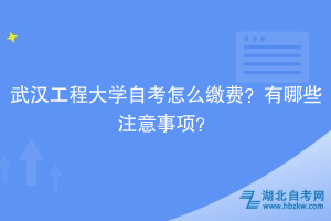 武漢工程大學自考?怎么繳費？有哪些注意事項？