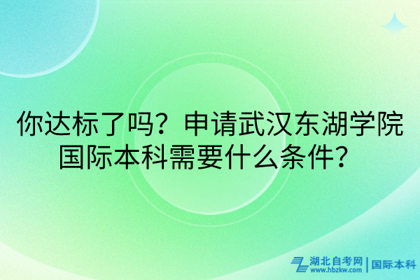 你達標了嗎？申請武漢東湖學院國際本科需要什么條件？