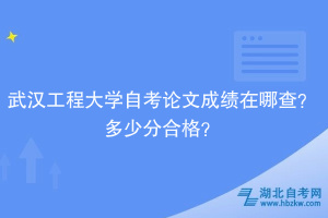 武漢工程大學(xué)自考論文成績在哪查？多少分合格？