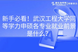新手必看!武漢工程大學同等學力申碩各專業(yè)就業(yè)前景是什么? 新手必看!武漢工程大學同等學力申碩各專業(yè)就業(yè)前景是什么?