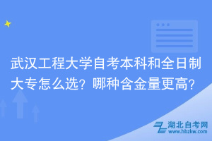武漢工程大學(xué)自考本科和全日制大專怎么選？哪種含金量更高？