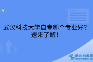 武漢科技大學(xué)自考哪個(gè)專業(yè)好？速來了解！