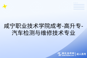 咸寧職業(yè)技術(shù)學(xué)院成考-高升專-汽車檢測與維修技術(shù)專業(yè)