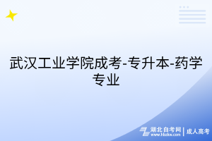 武漢工業(yè)學(xué)院成考-專升本-藥學(xué)專業(yè)