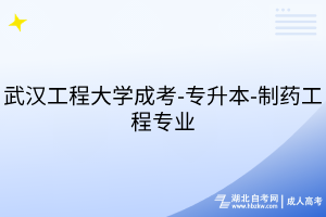 武漢工程大學(xué)成考-專(zhuān)升本-制藥工程專(zhuān)業(yè)