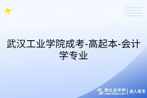 武漢工業(yè)學(xué)院成考-高起本-會(huì)計(jì)學(xué)專業(yè)